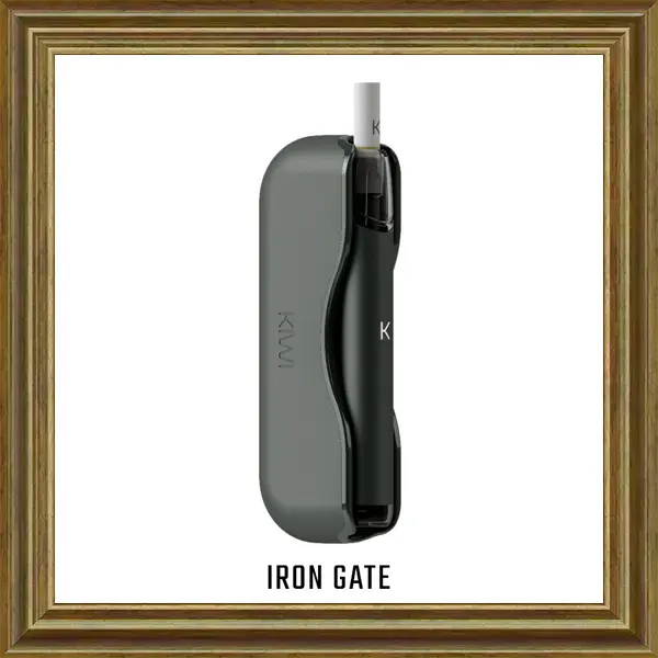 Kiwi Vapor Pod-System Iron Gate