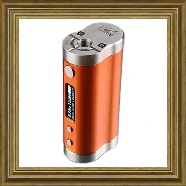 Dicodes Dani Box Micro 18650 Akkutrager Orange